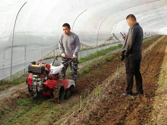 来自河南、山东、新疆的客人在种植园考察