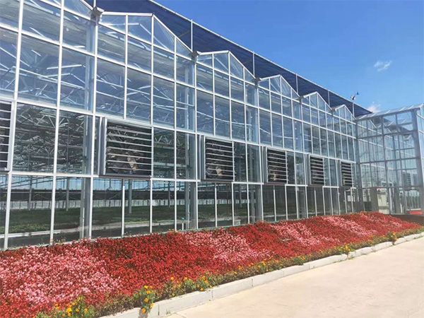 20亩玻璃智能温室动工