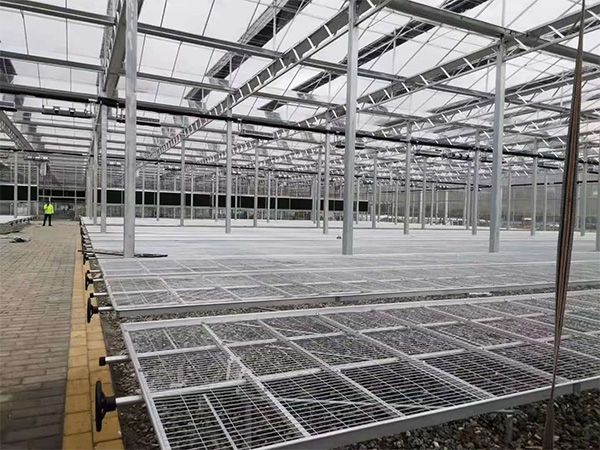 20亩玻璃智能温室动工