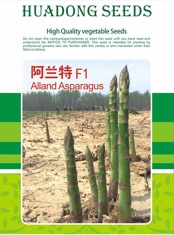 芦笋的种植方法